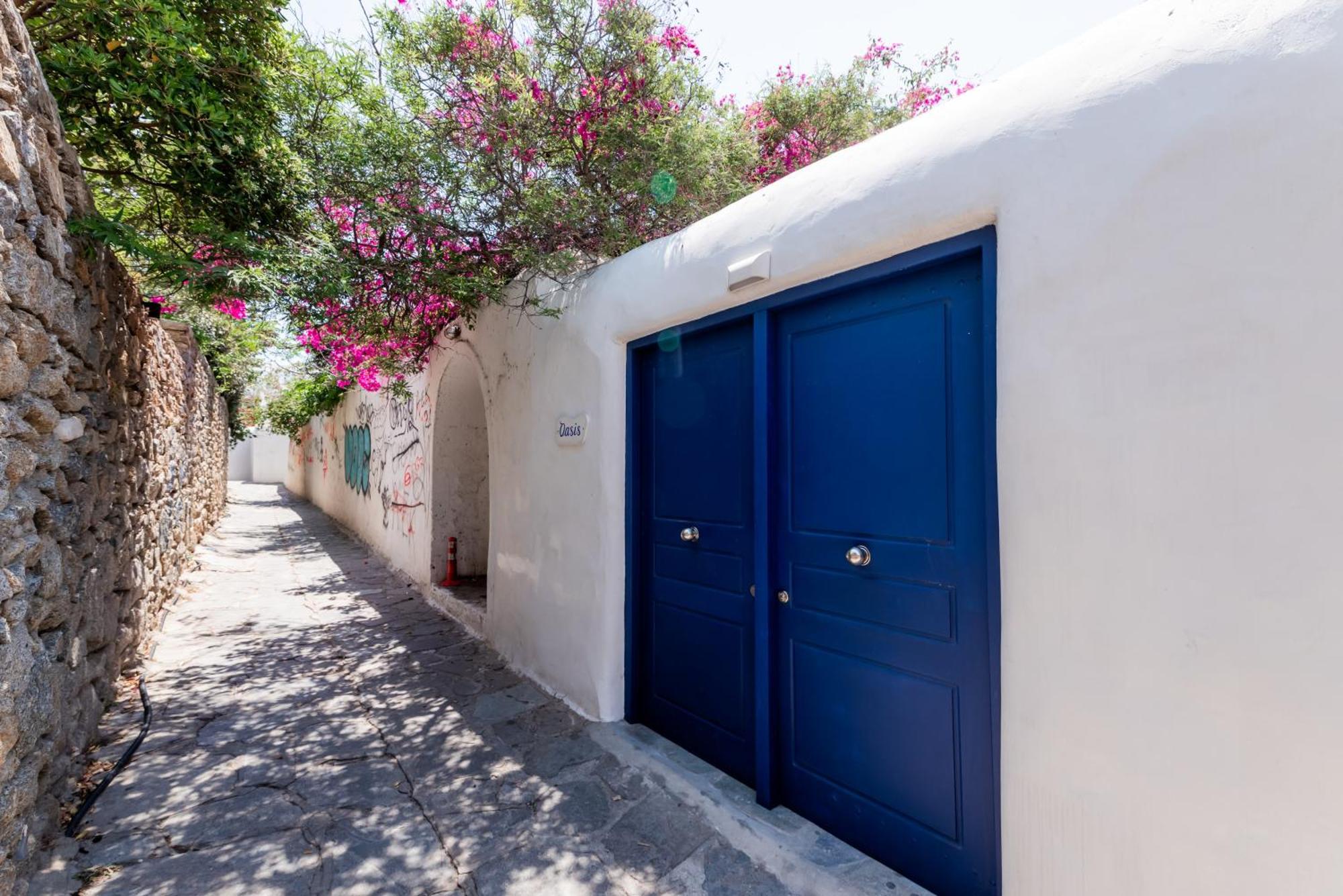 Olive Tree Mykonos Town Semi-Basement Apartment Eksteriør bilde