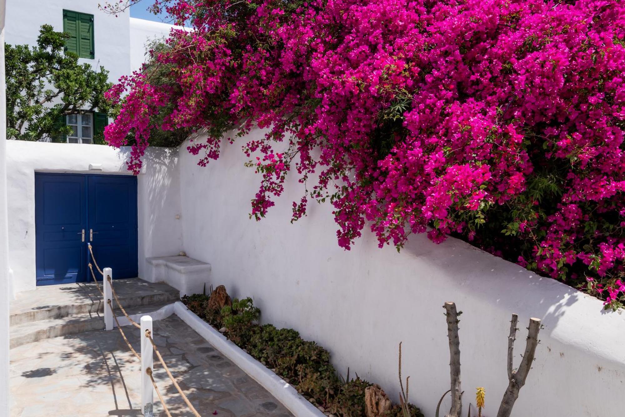 Olive Tree Mykonos Town Semi-Basement Apartment Eksteriør bilde